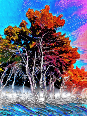 Beach Forest Vlore, Albania. Photography & Digital Painting. 40 x 50 cm. Print. ©2024 Keith Edwards