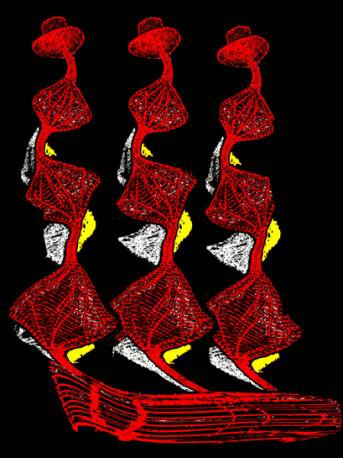 "Caberet" "Caberet"