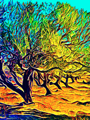Olive Grove I, Vlore, Albania. Photography & Digital Painting. 37.5 x 50 cm. Print. ©2024 Keith Edwards
