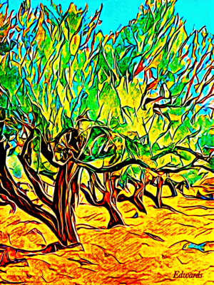 Olive Grove II, Vlore, Albania. Photography & Digital Painting. 40 x 50 cm. Print. ©2024 Keith Edwards